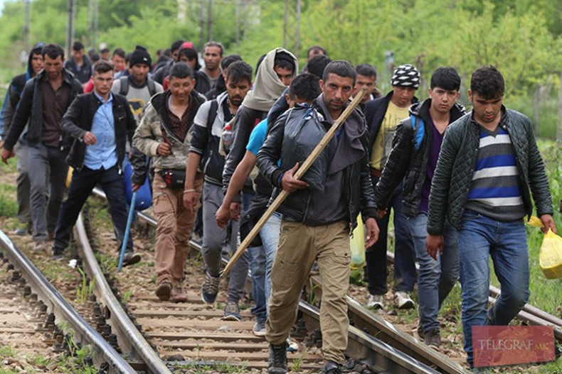migranti, nedozvoljen prelazak državne granice